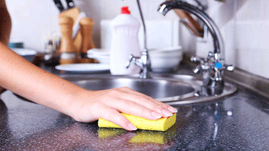 Why Your Kitchen Sponge Is A Bad Choice why kitchen sponge is bad choice 2 19